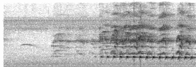 Grallaire oreillarde - ML380131881