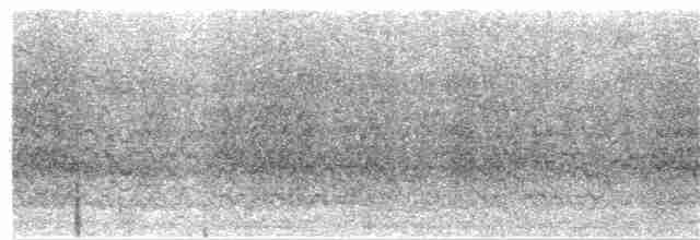Белоглазая аратинга - ML380136401