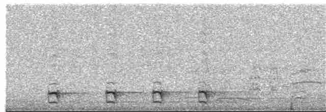Natterer Gri Karıncaavcısı - ML380138171