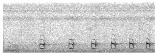 Natterer Gri Karıncaavcısı - ML380138541