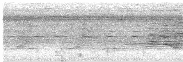 Белогрудая гологлазка - ML380141681