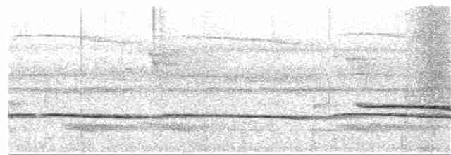 Weißstirn-Ameisenvogel - ML380142571