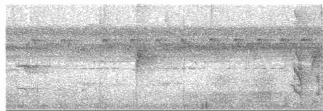 pyrura hnědohlavý - ML380152041