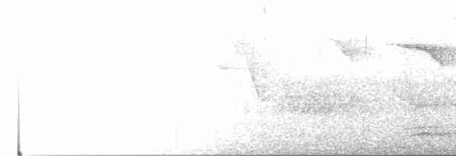 Скрытохвост татаупа - ML38015711