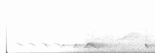 Rufous Nightjar - ML38015741