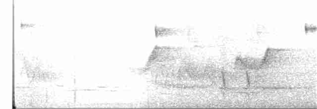 Мухоїд світлогорлий - ML38015931