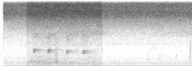 Uzun Taçlı Tiran - ML380164161