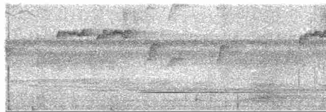 Прямоклювый колибри-отшельник - ML380165581