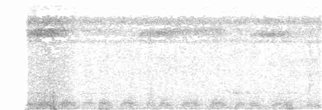 Veragua Bıldırcın Kumrusu - ML380182121
