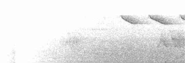 Каштановоголовая пипира - ML38018971