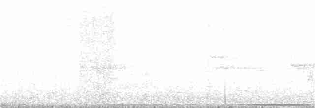 Siffleur occidental - ML380229371