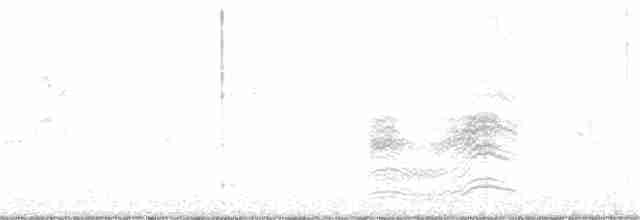 Fleckengrundammer - ML380231021