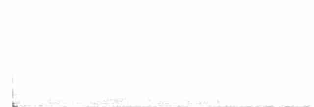 Орлан білоголовий - ML380258661
