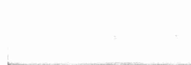 גיבתונית רוננת - ML380259301