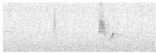 Длинноклювая нектарница - ML380282831