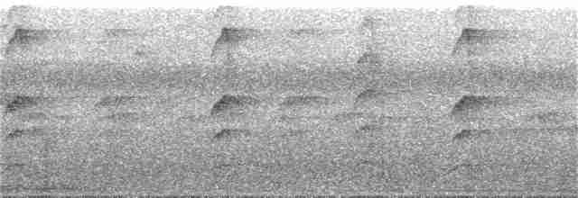 kolibřík šedobřichý - ML380285841