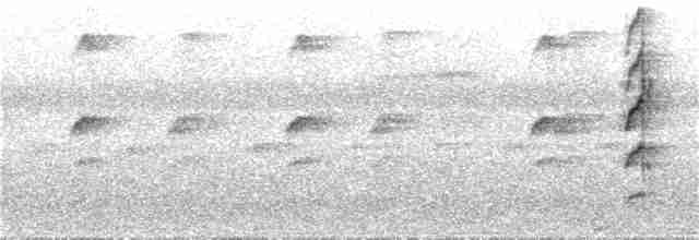 kolibřík šedobřichý - ML380285881