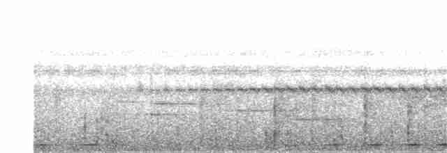 Weißkehl-Ameisendrossel - ML380307691