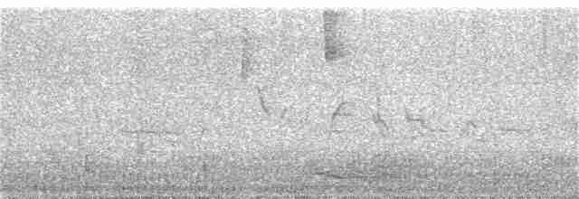 gransanger (tristis) (sibirgransanger) - ML380352931