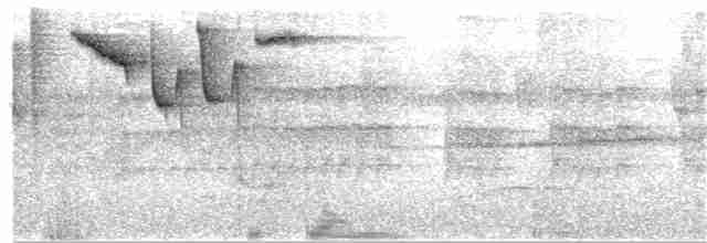 Turuncu Gagalı Çalı Serçesi - ML380423681