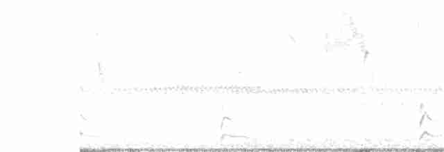 Gagası Boyalı Yelve - ML380436191