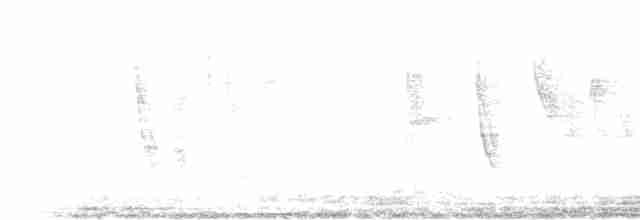 snovač černohlavý - ML380480281