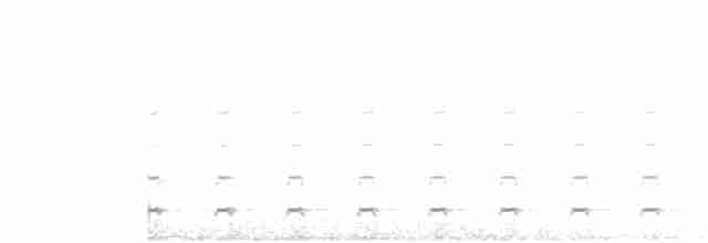 Chevêchette australe - ML380507081