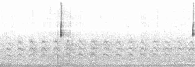 Вилохвостый тиранн - ML380546491