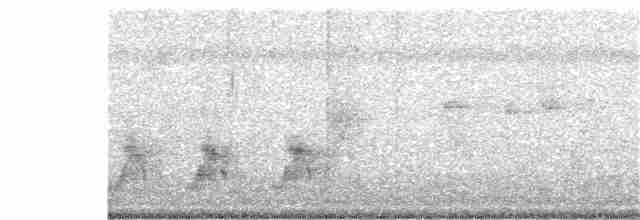鮭紅鳳頭鸚鵡 - ML380589071