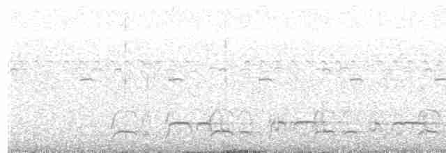 lenivka bělouchá - ML380614431