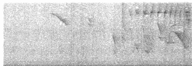 Azure-shouldered Tanager - ML380695611