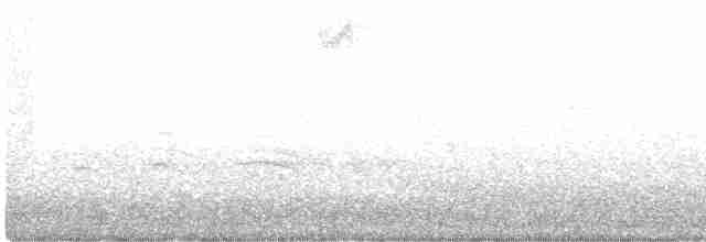 Fox Sparrow (Sooty) - ML380810901