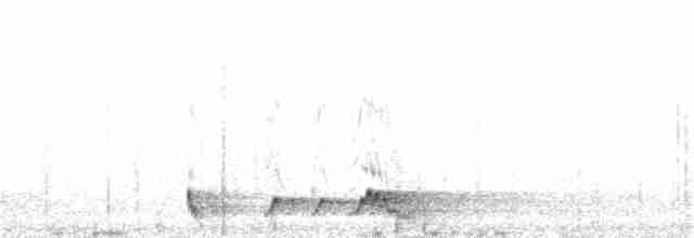 Rostnachtschwalbe - ML38081671