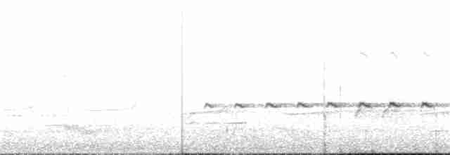 Серогрудая дриада - ML380822461