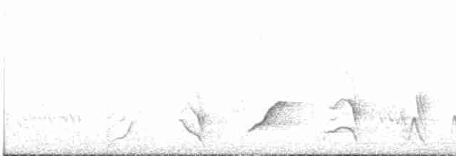 White-breasted Whistler - ML380838611