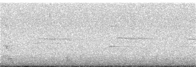 svartsteinvender - ML380851801
