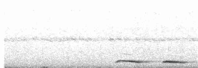 Кукушечья иглоногая сова - ML380864781