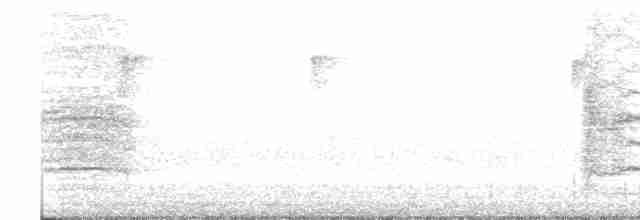 Gray Catbird - ML380892321
