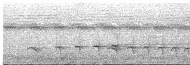 Мурав’янка-прудкокрил рондонійська - ML381037841