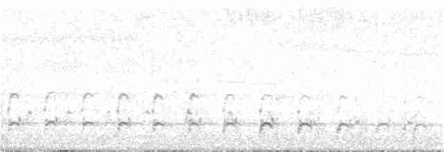 Орлан-белохвост - ML381120291
