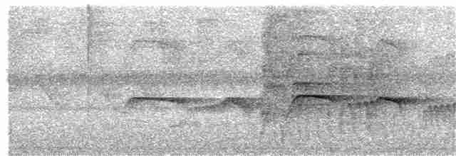 Atlantik Karınca Tiranı - ML381132181