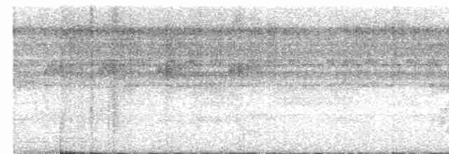 Bluish-slate Antshrike - ML381277441