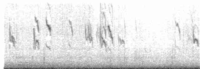linduška tundrová [skupina rubescens] - ML38134841