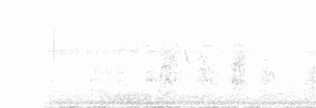 Серогрудая эления - ML381384801