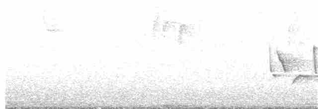 Karolina Çıtkuşu - ML381399781