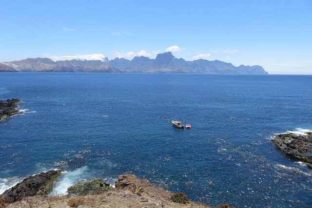 Isla Robinson Crusoe as seen from Isla Santa Clara. - Pink-footed Shearwater - 