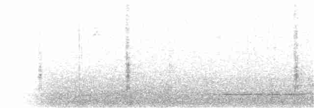 Oriole des vergers - ML381518621