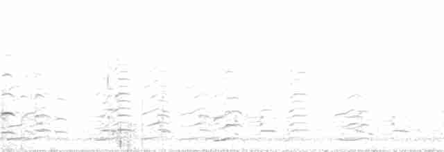 Казарка мала (підвид leucopareia) - ML381572511