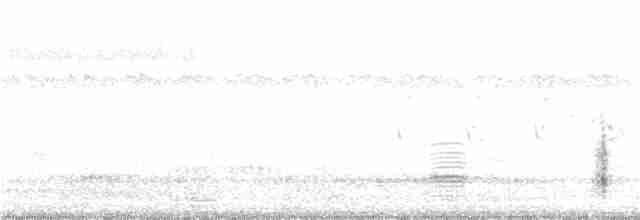 Clamorous Reed Warbler - ML381575051