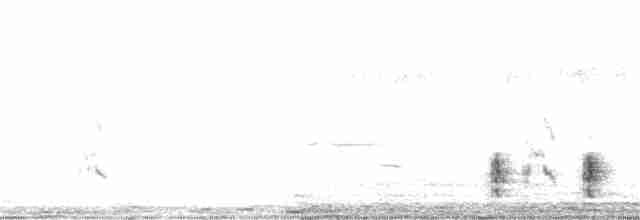 stentorsanger - ML381576241